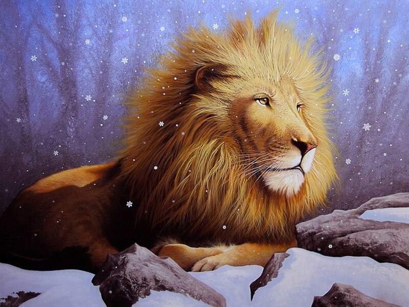 Lion in Snow — Blue