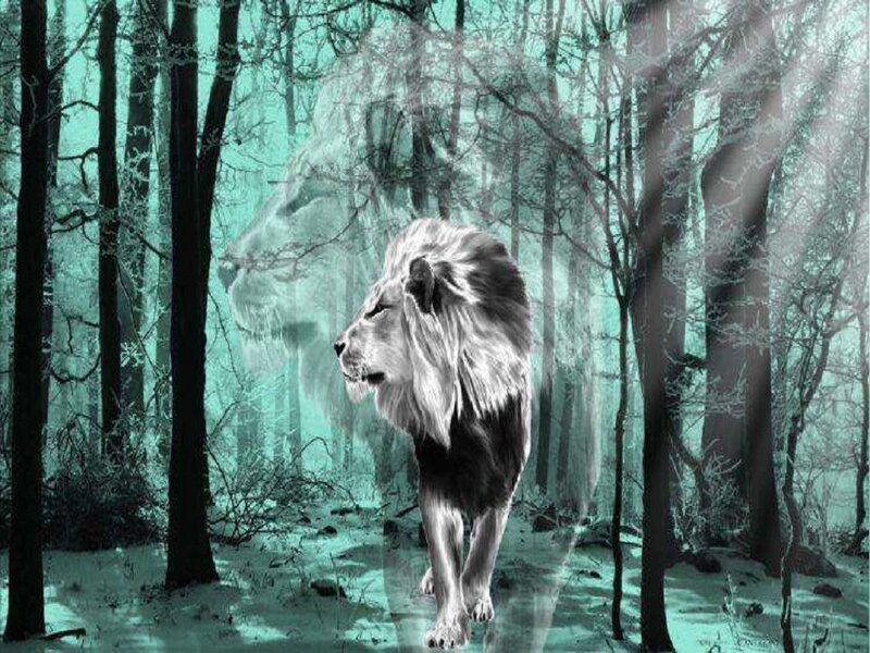 Lion in Snowy Forest — Teal