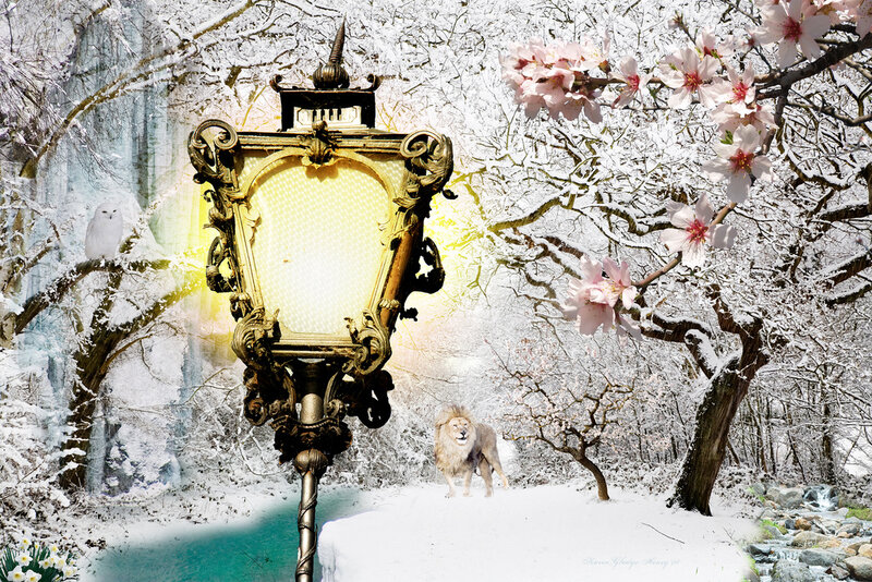 Lion in Snowy Forest