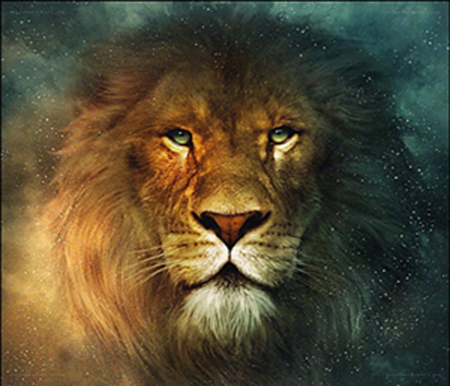 Lion in starry night