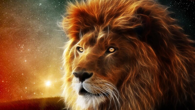 Lion in starry sky