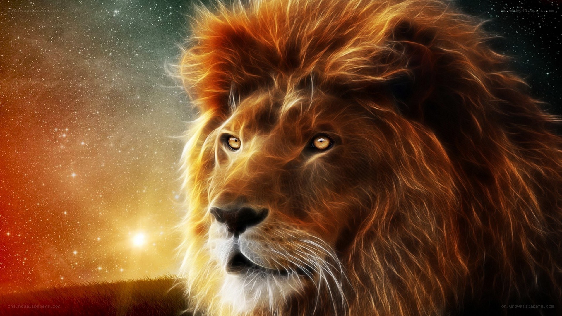Lion in starry sky
