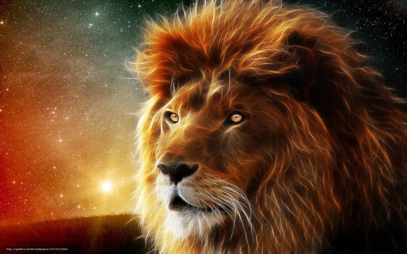 Lion in Starry Sky — Orange, Dramatic, Night