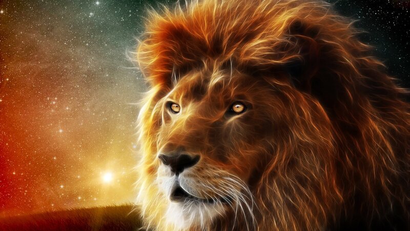 Lion in Starry Sky — Orange, Dramatic