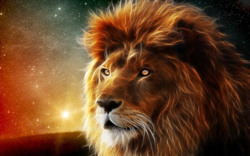 Lion in Starry Sky — Orange