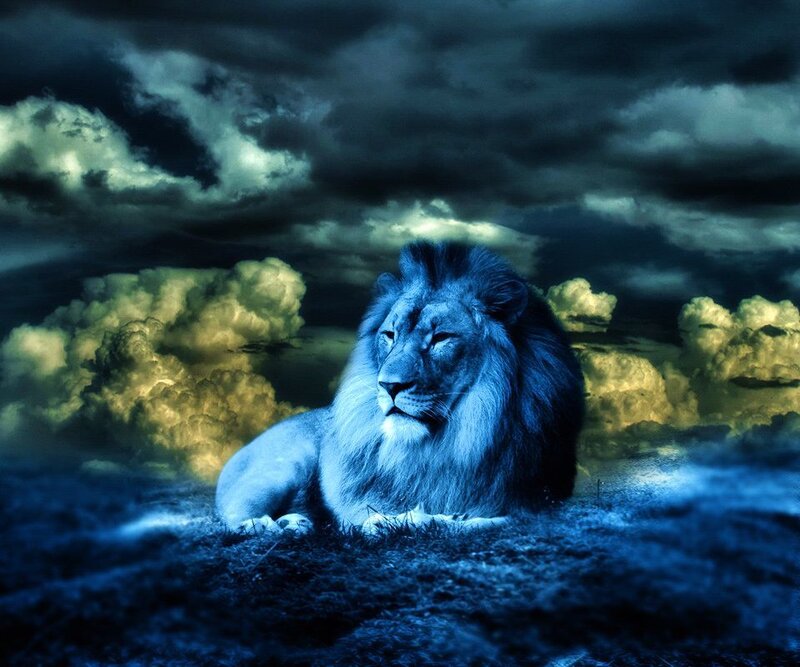 Lion in Stormy Landscape