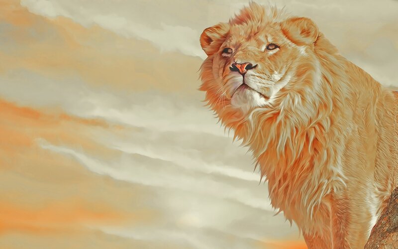 Lion in sunset painting