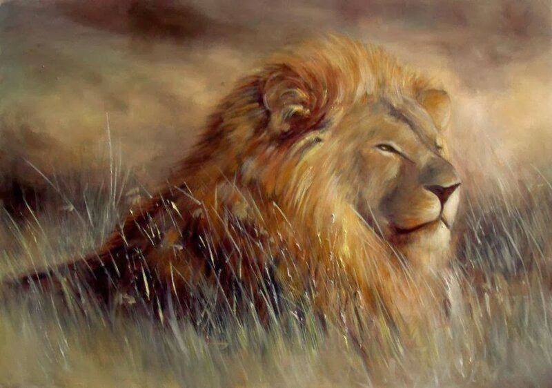 Lion in Tall Grass — Brown, Serene
