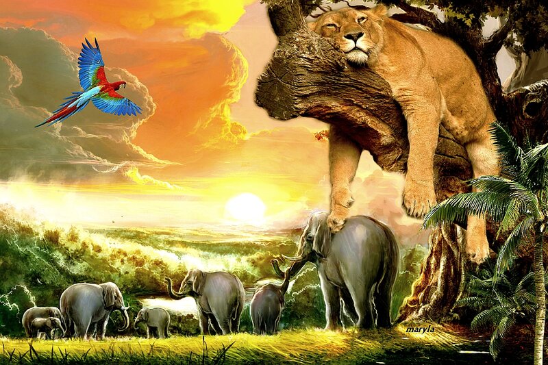 Lion in Tree with Elephants