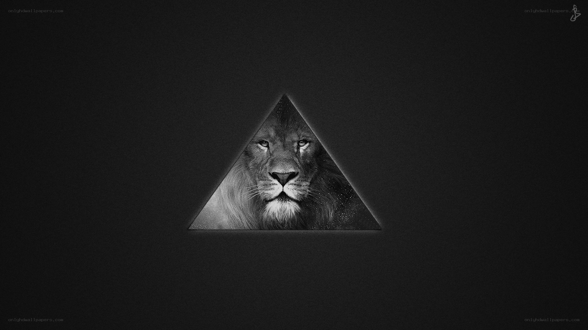 lion in triangle frame