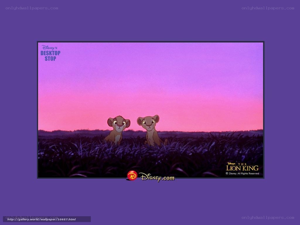Lion King cub wallpaper
