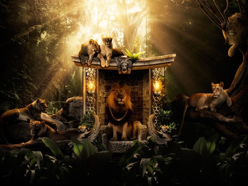 Lion King in Jungle — Brown, Dramatic, Afternoon, Digital Art, Lions, Stone Structure