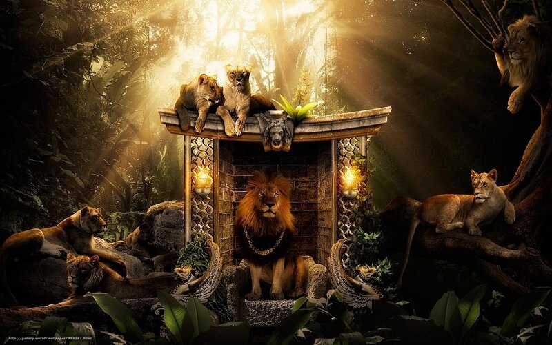 Lion King in Jungle — Brown, Dramatic