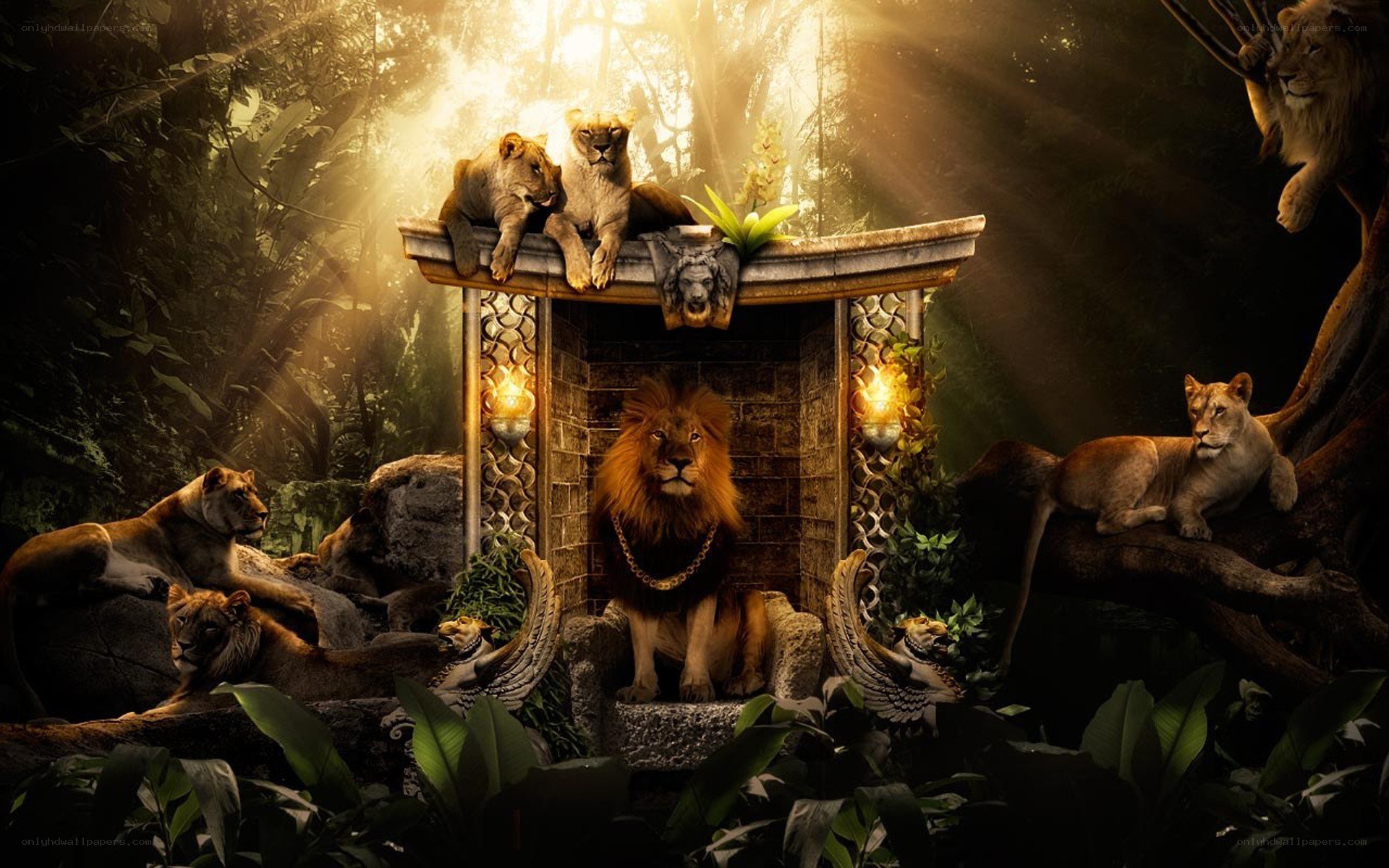 Lion king in jungle throne