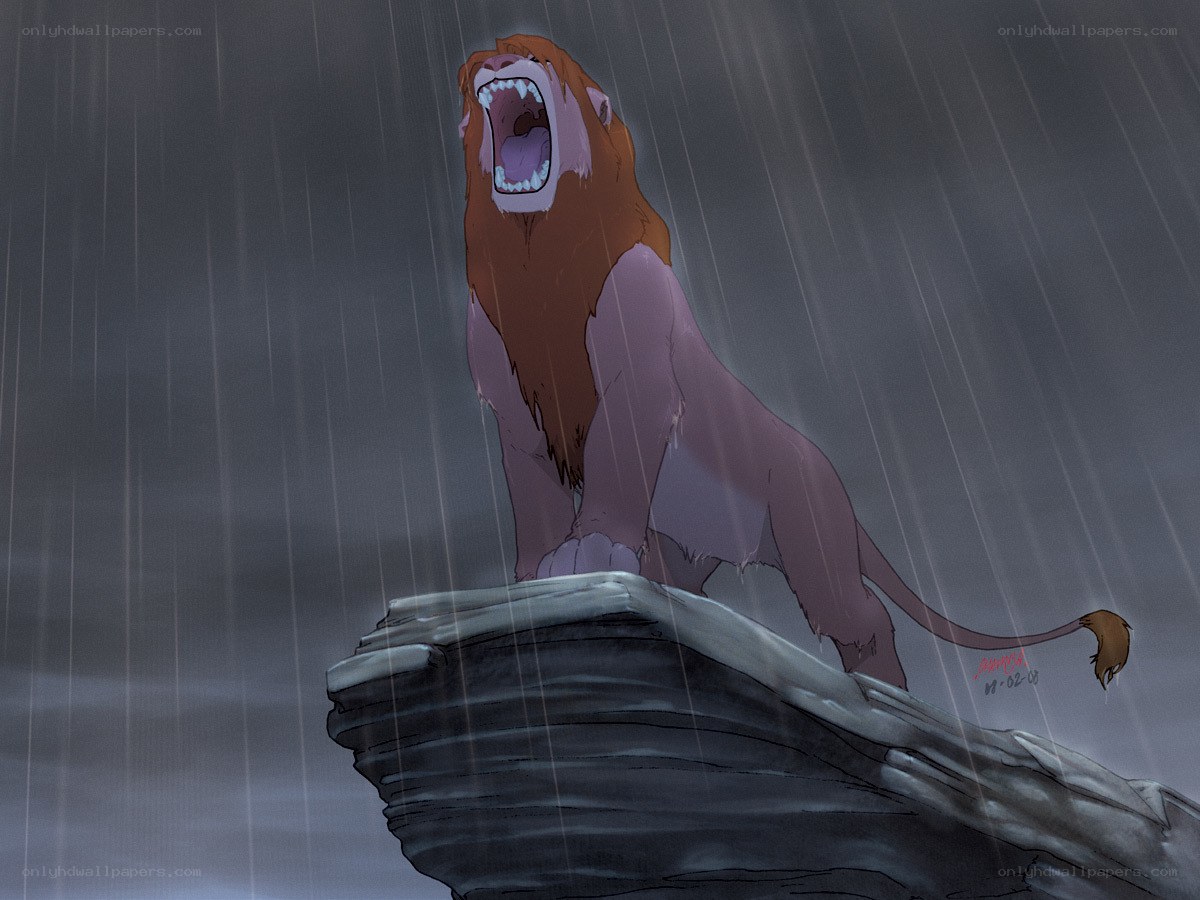lion king in the rain