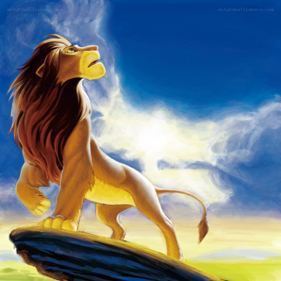 Lion King on Pride Rock