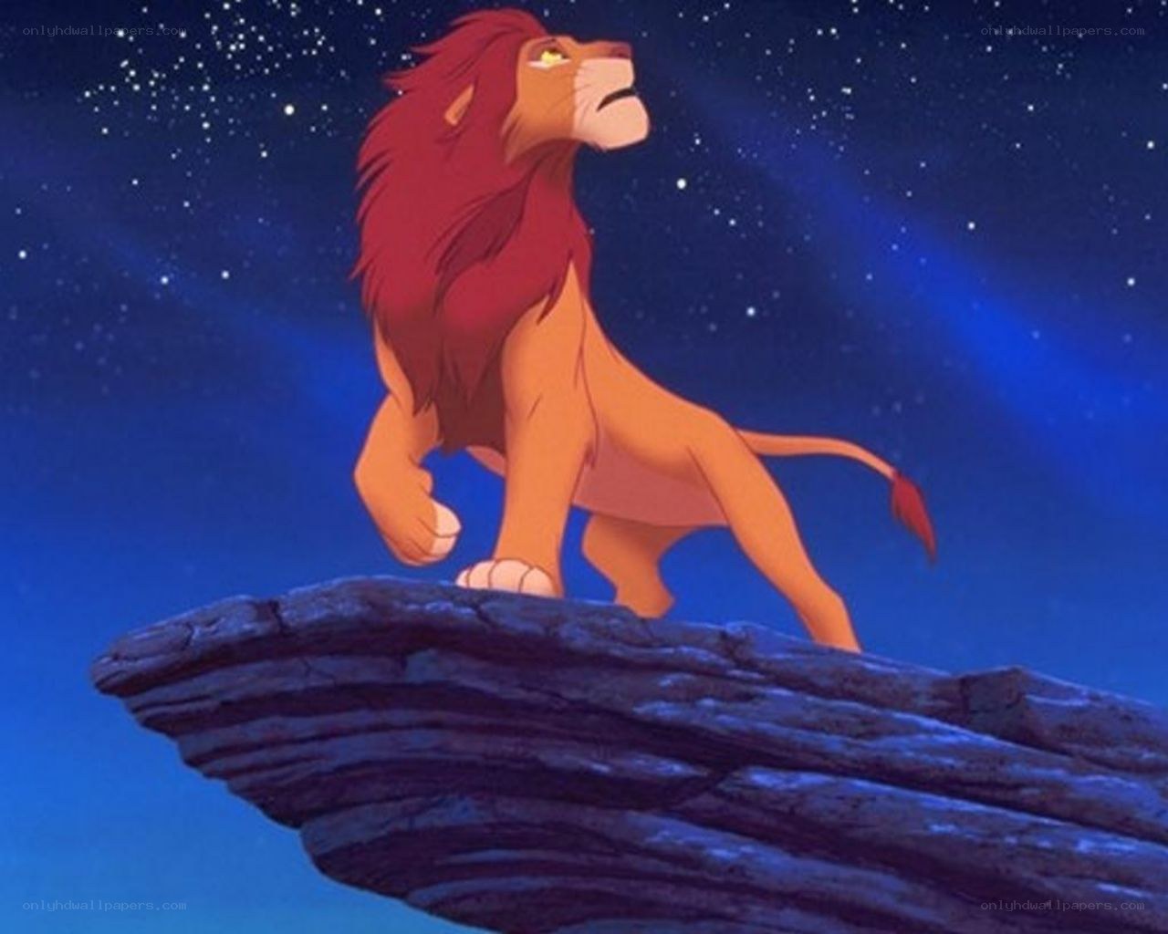 Lion King on Pride Rock