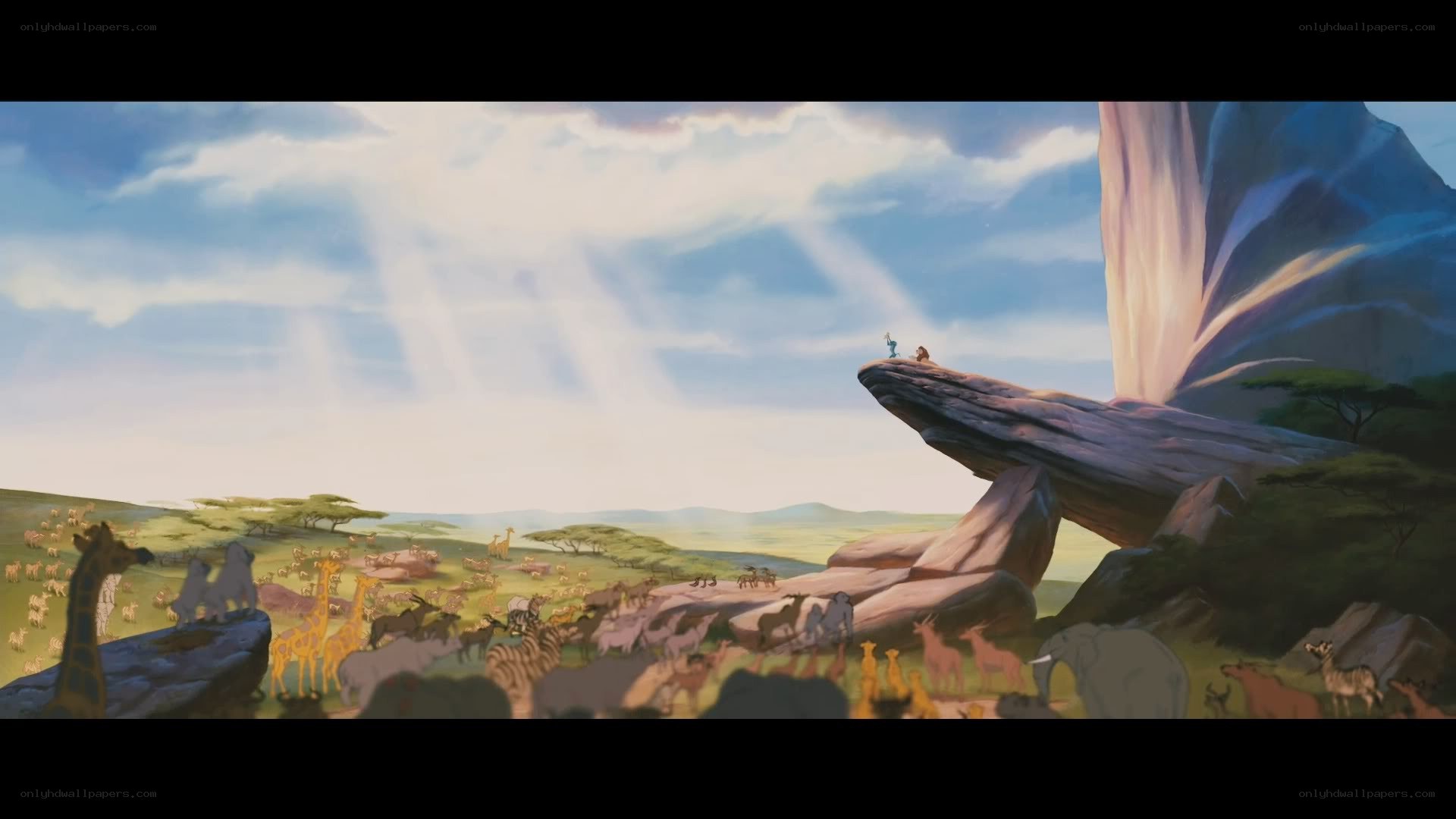 Lion King scene at Pride Rock