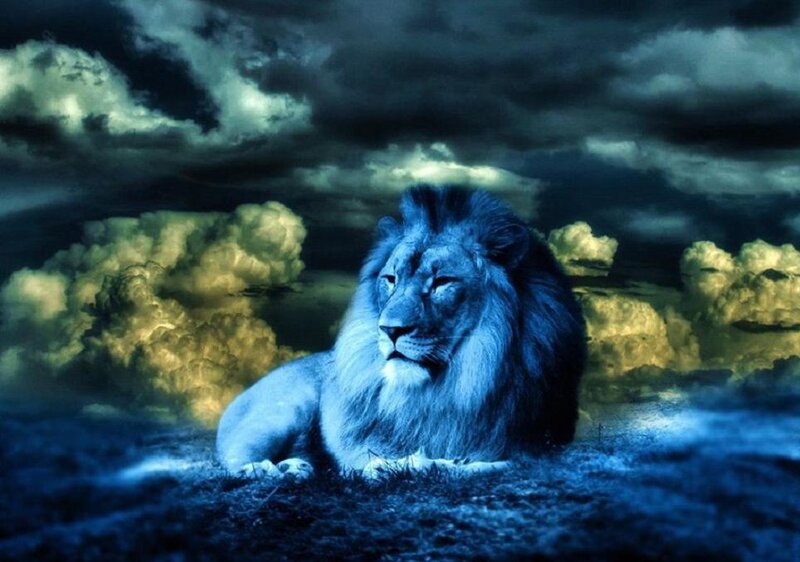 Lion Lying Down — Blue
