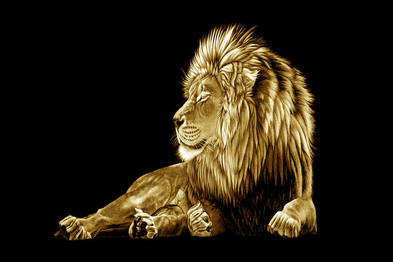 Lion Lying Down — Brown, Dramatic
