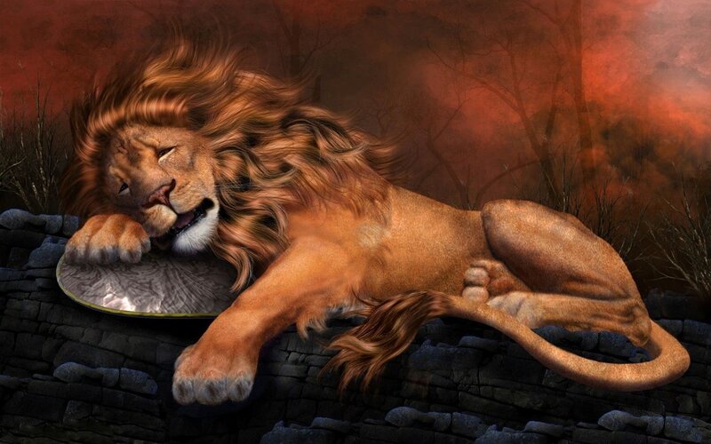 Lion Lying on Stone