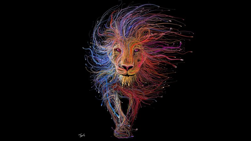 Lion Made of Colorful Lines