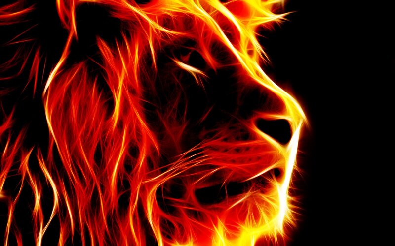 Lion Made of Fire