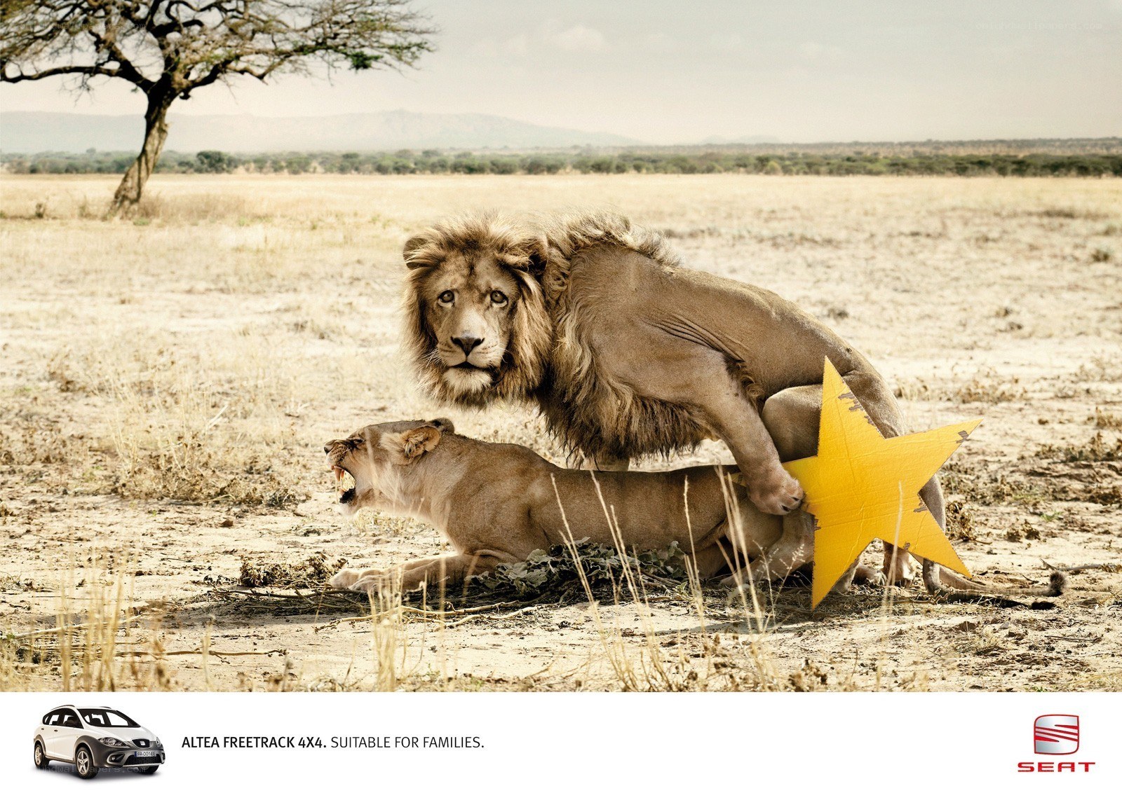 Lion mating with star symbol