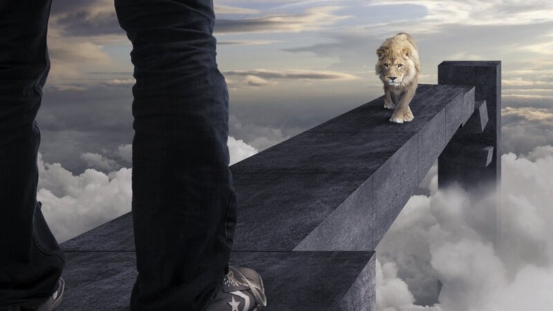 Lion on a Bridge — Gray