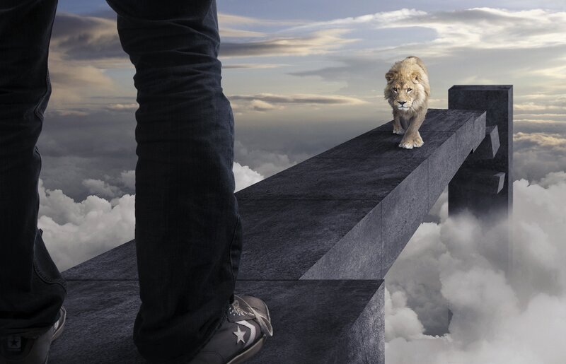 Lion on a Bridge