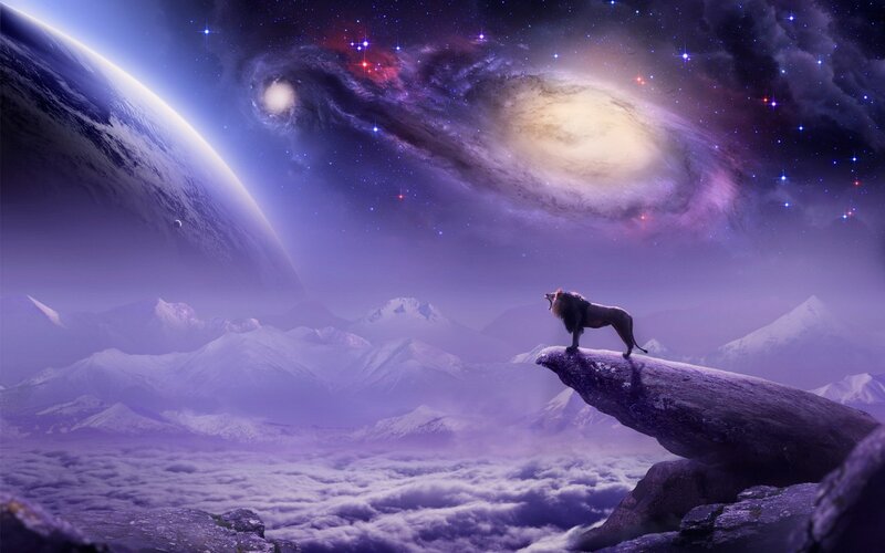 Lion on a Cliff — Purple