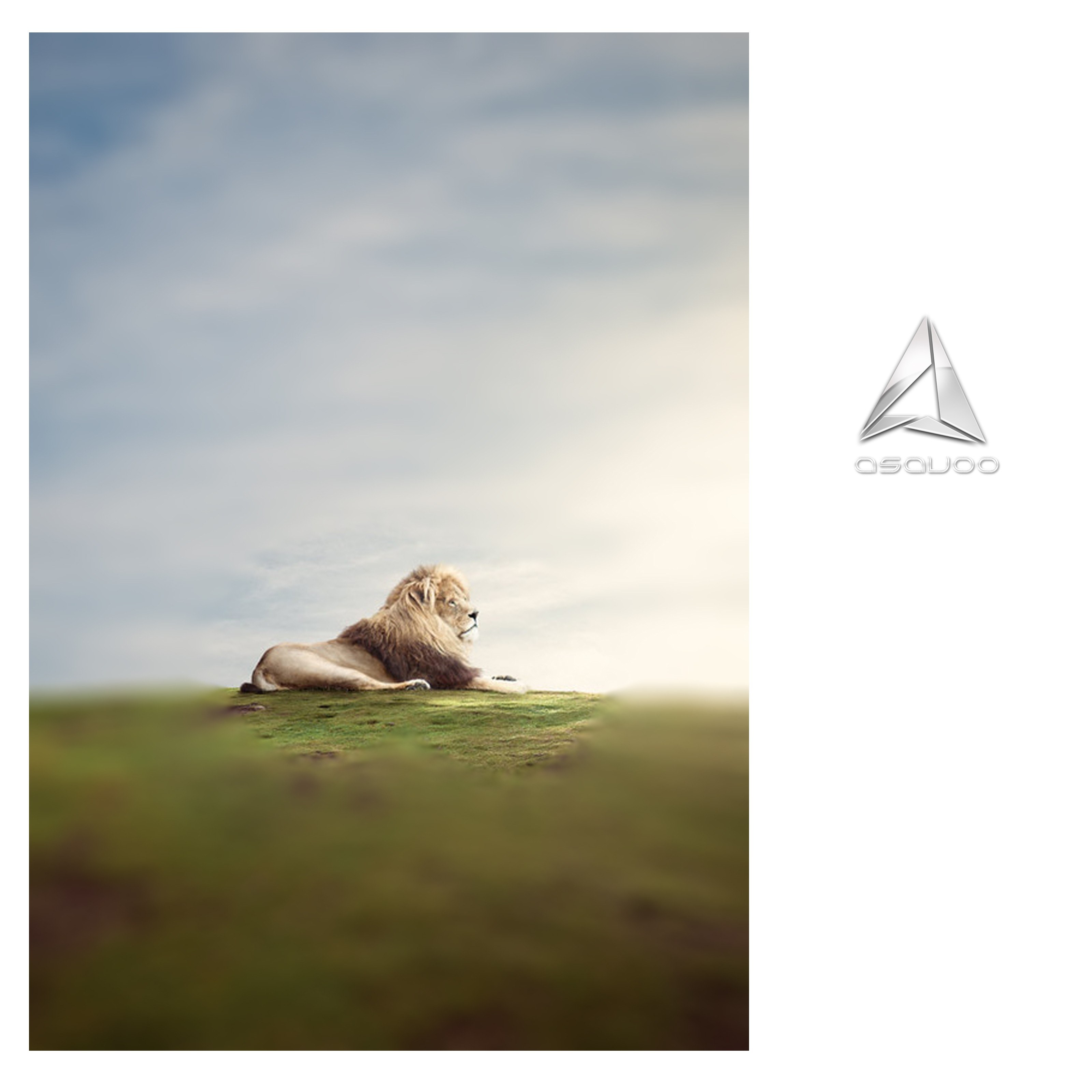 Lion on a grassy hill