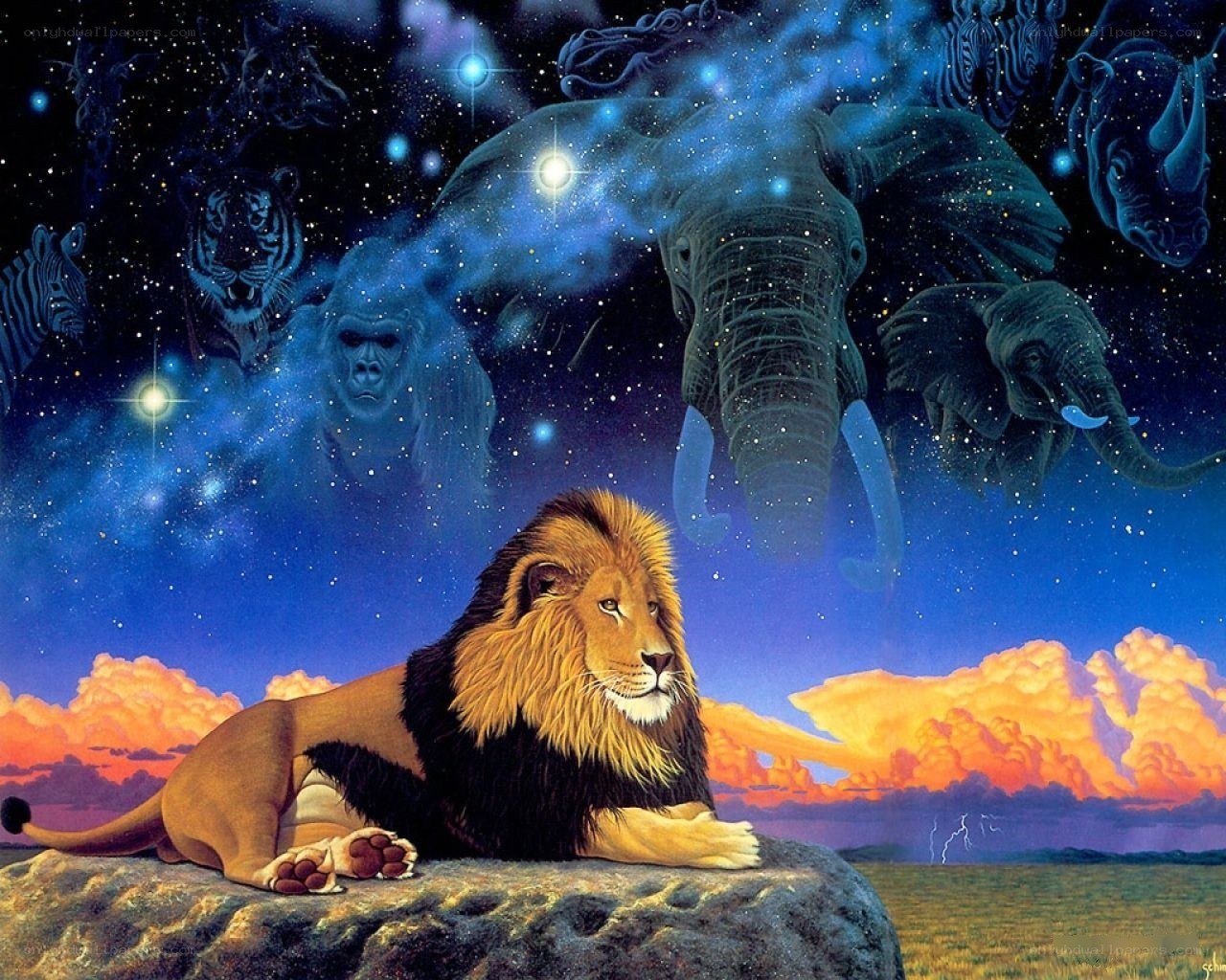 Lion on a rock at sunset
