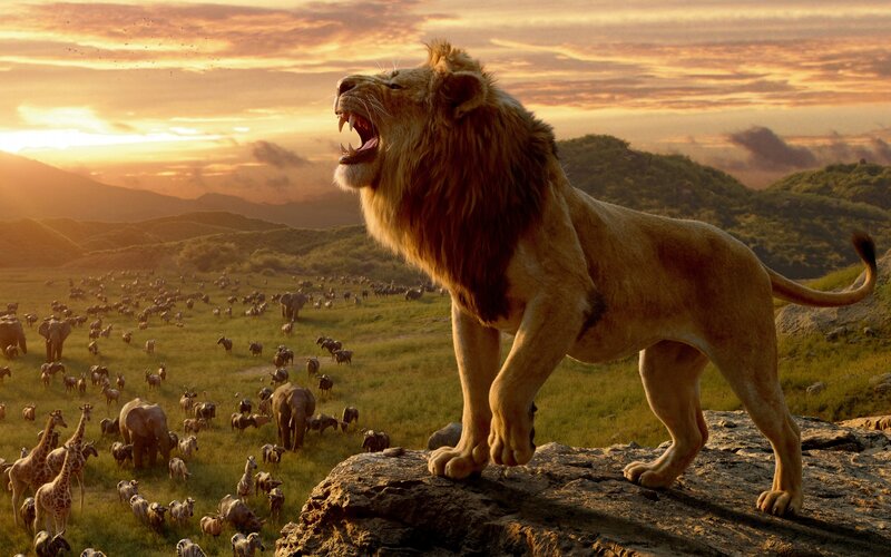 Lion on a Rock — Golden