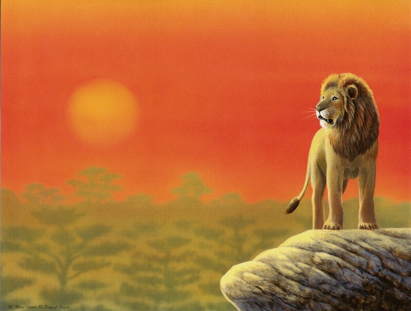 Lion on a Rock — Orange