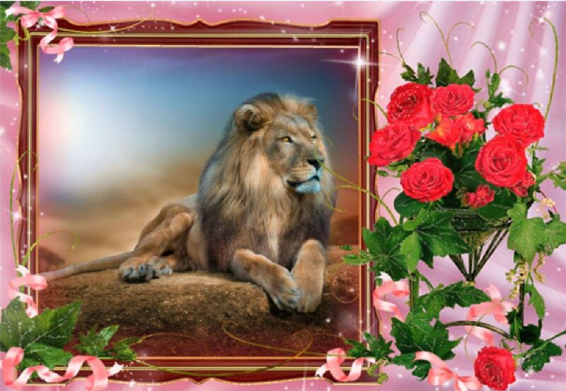 Lion on a Rock — Pink