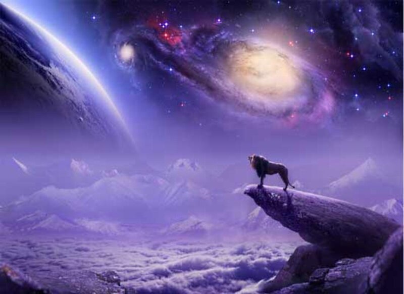 Lion on a Rock — Purple, Dramatic