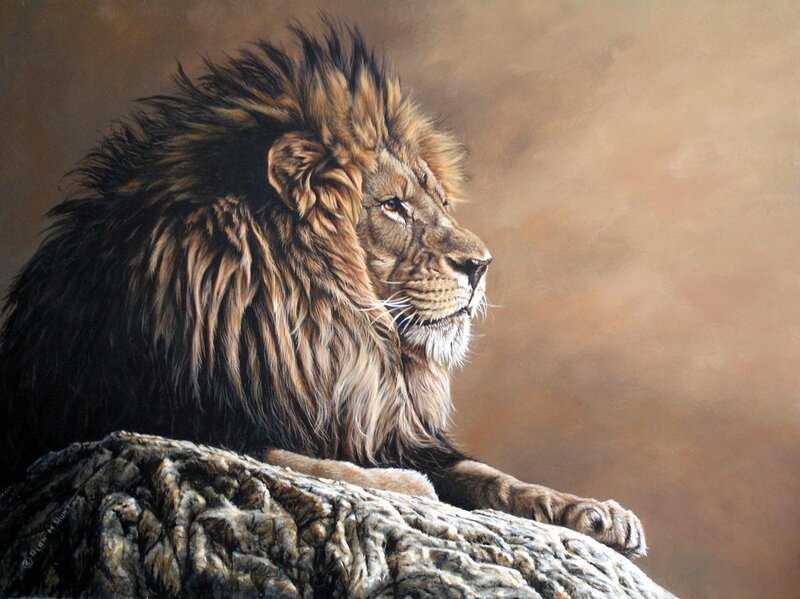 Lion on a rock