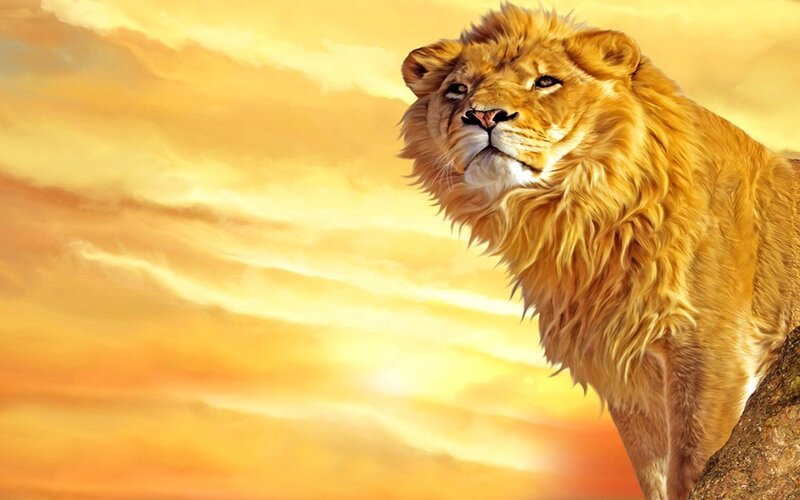 Lion on a Rock — Yellow, Dramatic, Sunset, Digital Art, Sky