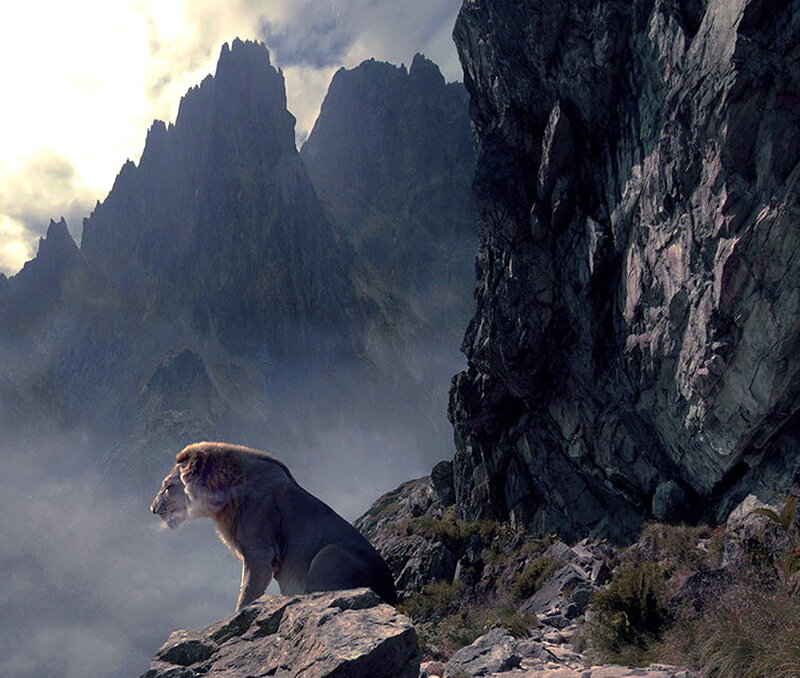 Lion on a Rocky Outcrop — Gray