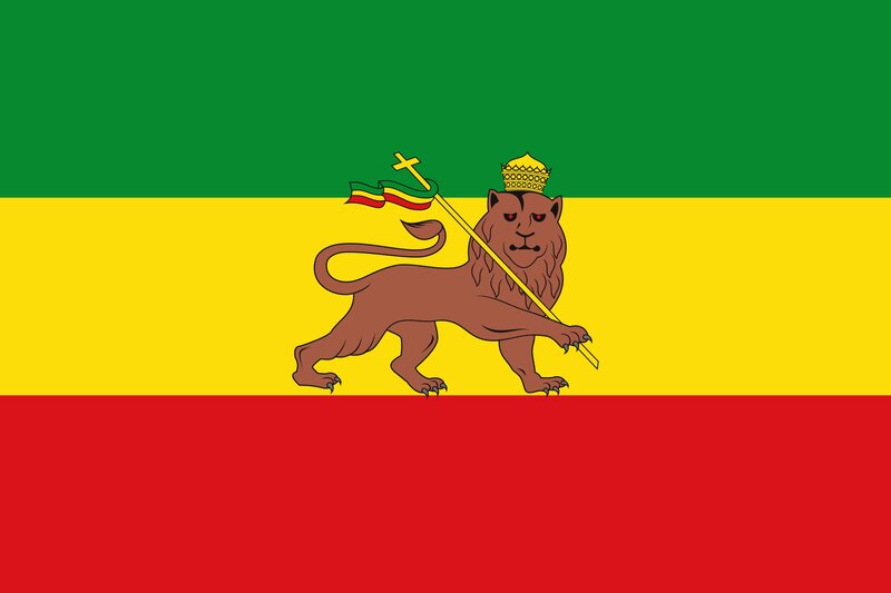 Lion on Flag