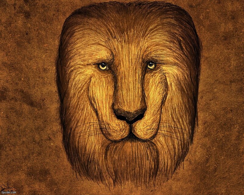 Lion portrait drawing