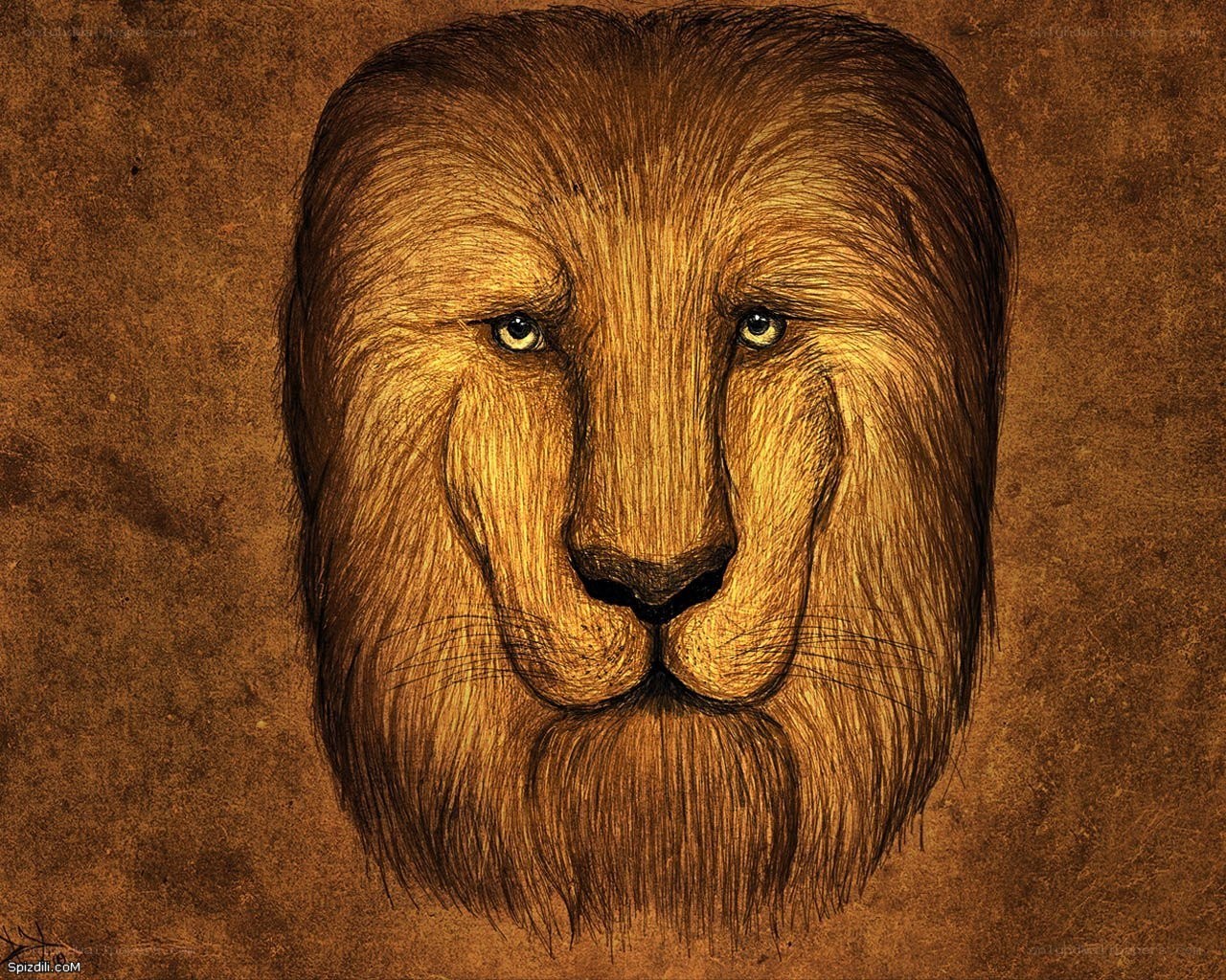 Lion portrait drawing