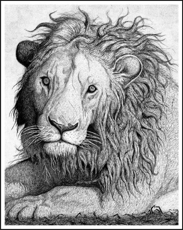 Lion portrait drawing