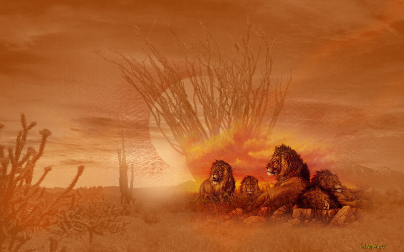 Lion Pride in Desert