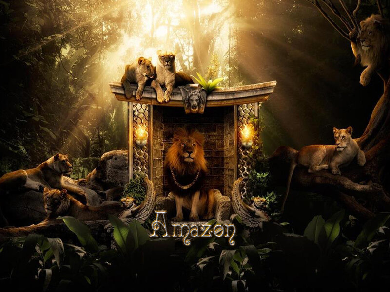 Lion Pride in Jungle