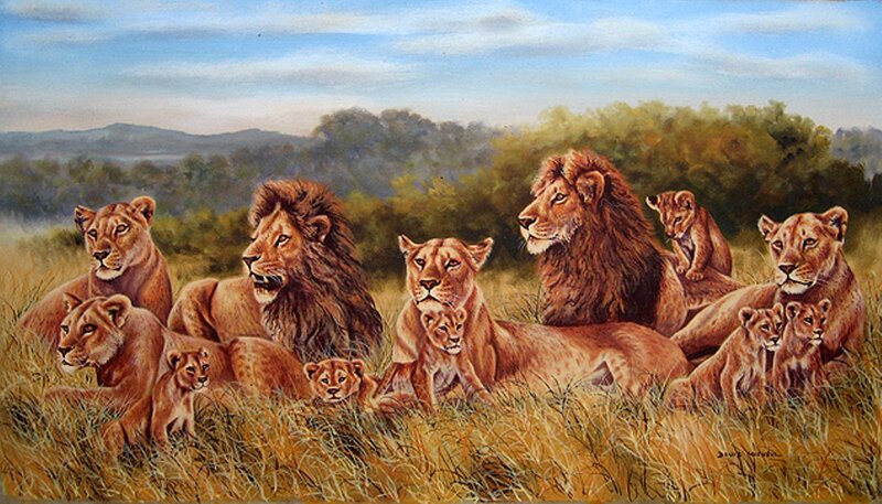 Lion Pride in Savanna — Brown