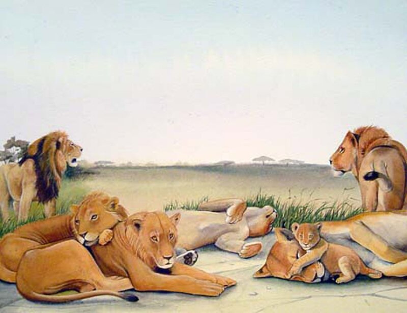 Lion Pride in Savanna — Tan