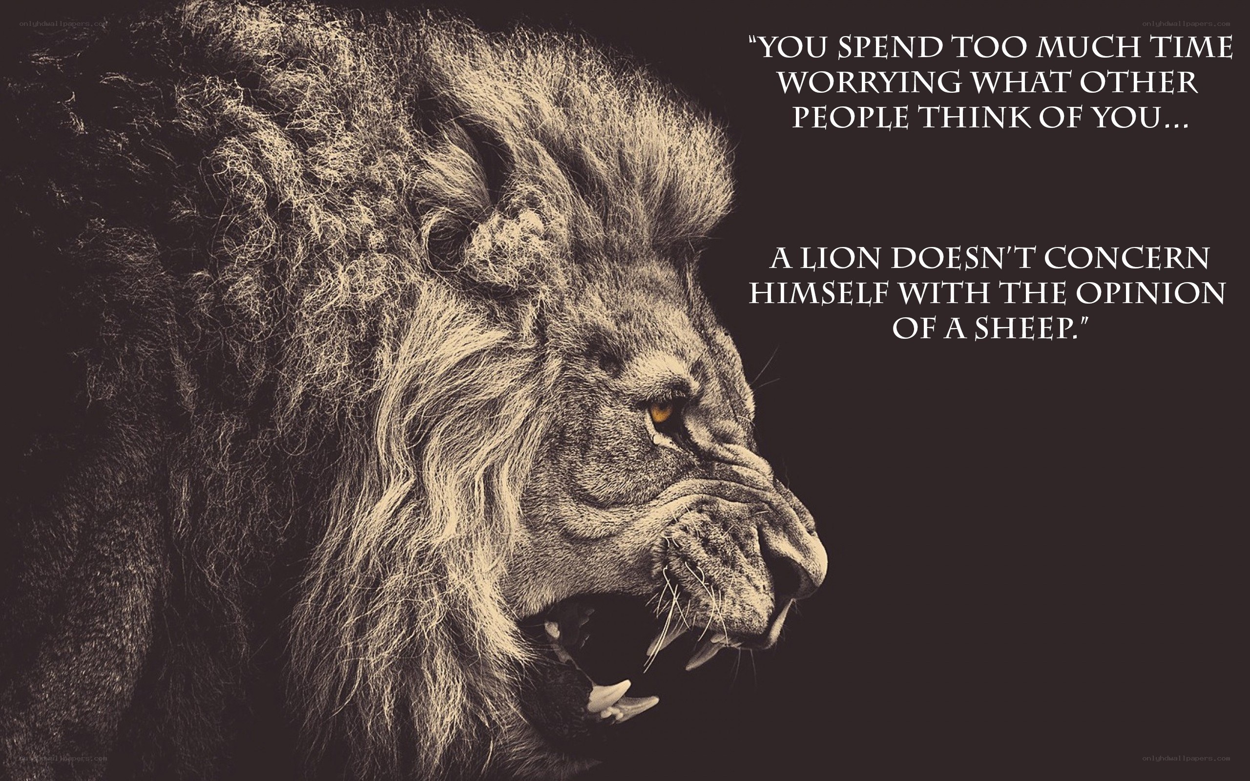 lion quote image