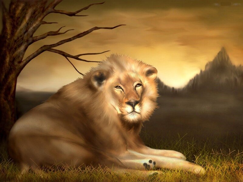 Lion Resting in Grass — Brown, Serene, Sunset